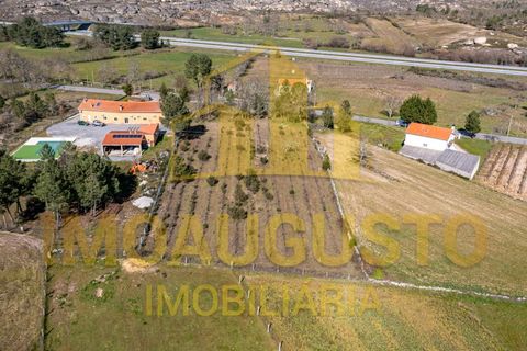 Helårsgrund i Guarda, Guarda, Guarda - € 50.000 | Ref: PAR_2002 - foto 9