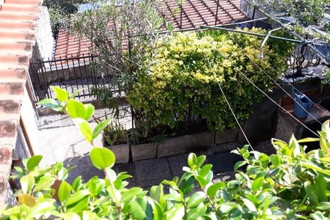 Villa a Ameglia, La Spezia, Ameglia - € 140.000 | Ref: 1141 - foto 8
