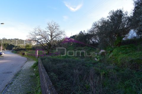 Terra em Minde, Santarem, Minde - € 41.500 | Ref: 2314 - foto 2