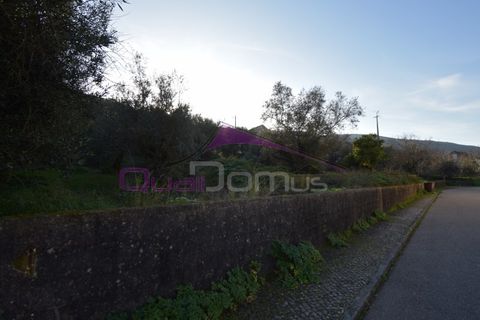 Terra em Minde, Santarem, Minde - € 41.500 | Ref: 2314 - foto 5