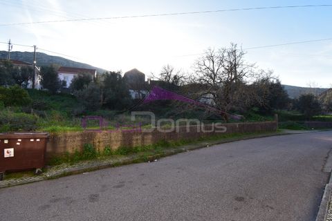 Terra em Minde, Santarem, Minde - € 41.500 | Ref: 2314 - foto 6