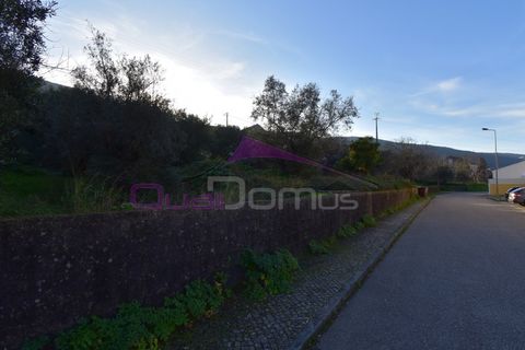 Terra em Minde, Santarem, Minde - € 41.500 | Ref: 2314 - foto 7