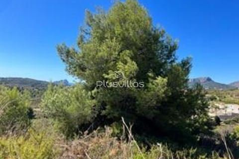 Helårsgrund i Benissa, Alicante, Benissa - € 110.000 | Ref: P18* - foto 11