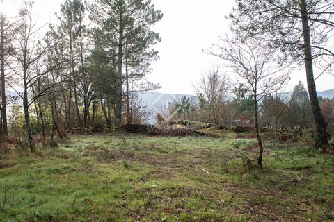 Landejendom i Beresmo, Orense, Beresmo - € 250.000 | Ref: VIG47660 - foto 14