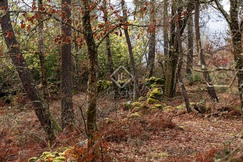 Landejendom i Beresmo, Orense, Beresmo - € 250.000 | Ref: VIG47660 - foto 15