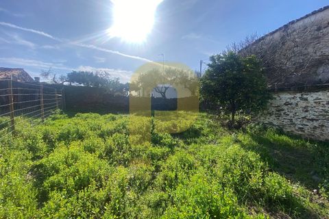 Villa a Rosmaninhal, Castelo Branco, Rosmaninhal - € 45.000 | Ref: PB2024388 - foto 23