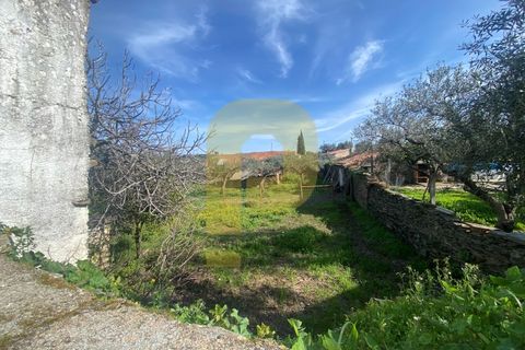 Villa a Rosmaninhal, Castelo Branco, Rosmaninhal - € 45.000 | Ref: PB2024388 - foto 28