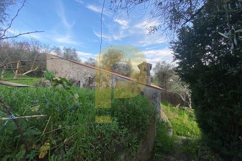 Villa a Castelo de Vide, Portalegre, Castelo de Vide - € 260.000 | Ref: PB2024383 - foto 5