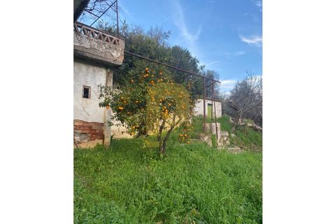 Villa a Castelo de Vide, Portalegre, Castelo de Vide - € 260.000 | Ref: PB2024383 - foto 6