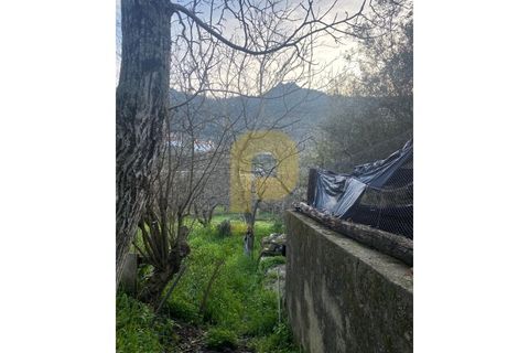 Villa a Castelo de Vide, Portalegre, Castelo de Vide - € 260.000 | Ref: PB2024383 - foto 8