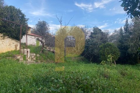Villa a Castelo de Vide, Portalegre, Castelo de Vide - € 260.000 | Ref: PB2024383 - foto 12