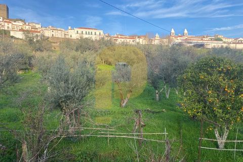 Villa a Castelo de Vide, Portalegre, Castelo de Vide - € 260.000 | Ref: PB2024383 - foto 17