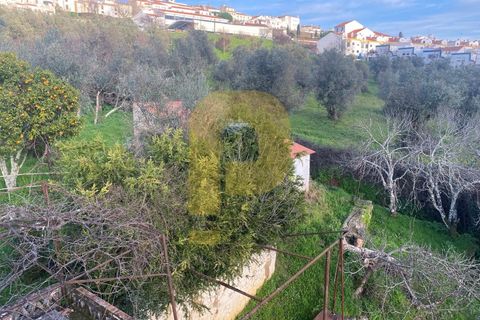 Villa a Castelo de Vide, Portalegre, Castelo de Vide - € 260.000 | Ref: PB2024383 - foto 20