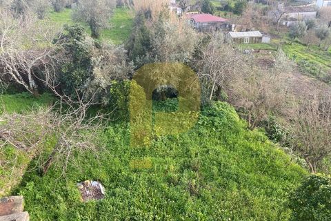 Villa a Castelo de Vide, Portalegre, Castelo de Vide - € 260.000 | Ref: PB2024383 - foto 24