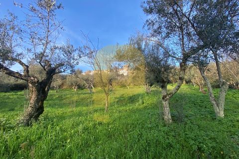 Villa a Castelo de Vide, Portalegre, Castelo de Vide - € 260.000 | Ref: PB2024383 - foto 26