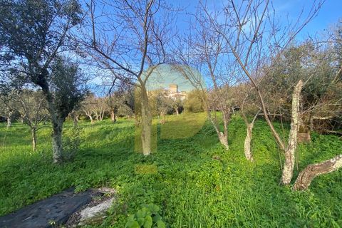 Villa a Castelo de Vide, Portalegre, Castelo de Vide - € 260.000 | Ref: PB2024383 - foto 27