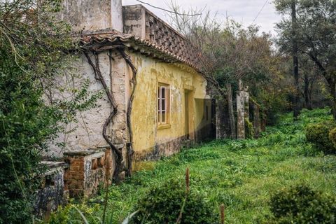 Villa a Castelo de Vide, Portalegre, Castelo de Vide - € 260.000 | Ref: PB2024383 - foto 2