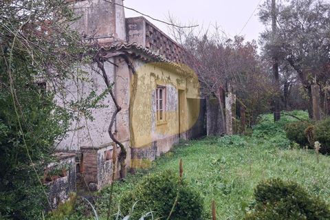 Villa a Castelo de Vide, Portalegre, Castelo de Vide - € 260.000 | Ref: PB2024383 - foto 34