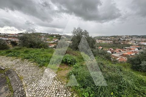 Helårsgrund i Batalha, Leiria, Batalha - € 65.000 | Ref: 1130858/24 LR_A - foto 7