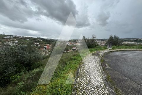Helårsgrund i Batalha, Leiria, Batalha - € 65.000 | Ref: 1130858/24 LR - foto 3