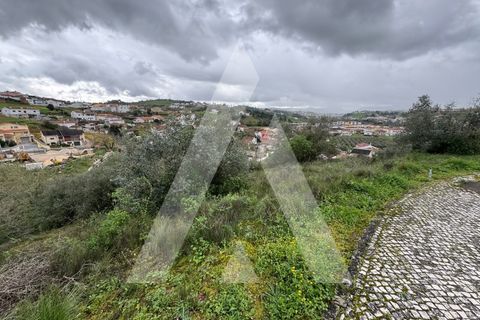 Helårsgrund i Batalha, Leiria, Batalha - € 65.000 | Ref: 1130858/24 LR - foto 4