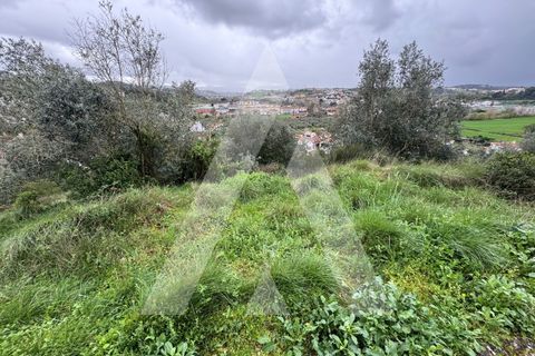 Helårsgrund i Batalha, Leiria, Batalha - € 65.000 | Ref: 1130858/24 LR - foto 6