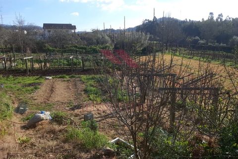 Helårsgrund i Ponte de Lima, Viana do Castelo, Ponte de Lima - € 25.000 | Ref: PTL-1159-AL-0224 - foto 1