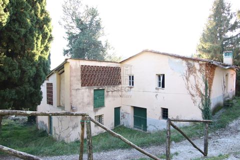 Villa i Lucca, Lucca, Lucca - € 500.000 | Ref: IA00049 - foto 2