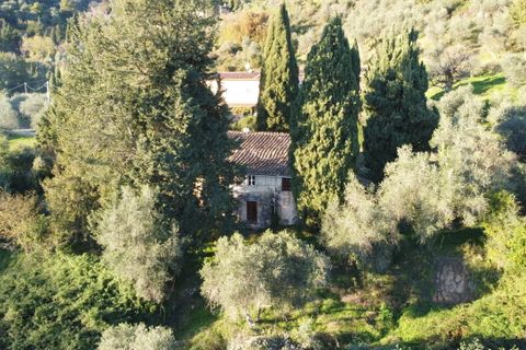 Villa i Lucca, Lucca, Lucca - € 500.000 | Ref: IA00049 - foto 4