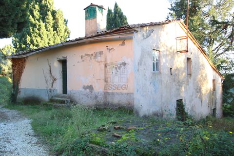 Villa i Lucca, Lucca, Lucca - € 500.000 | Ref: IA00049 - foto 6