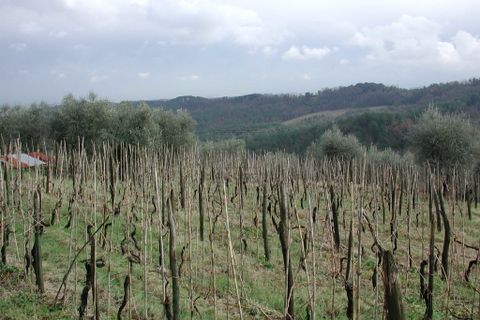 Villa i Lucca, Lucca, Lucca - € 500.000 | Ref: IA00049 - foto 11