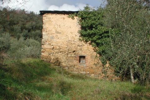 Villa i Lucca, Lucca, Lucca - € 500.000 | Ref: IA00049 - foto 19