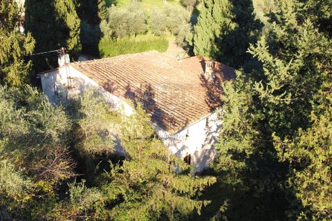 Villa i Lucca, Lucca, Lucca - € 500.000 | Ref: IA00049 - foto 25