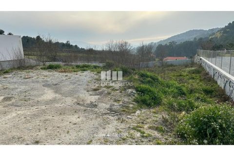Grond in Grilo, Porto, Grilo - € 37.500 | Ref: MC09643 - foto 3
