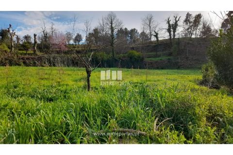 Helårsgrund i Amarante, Porto, Amarante - € 55.000 | Ref: MC09644 - foto 4