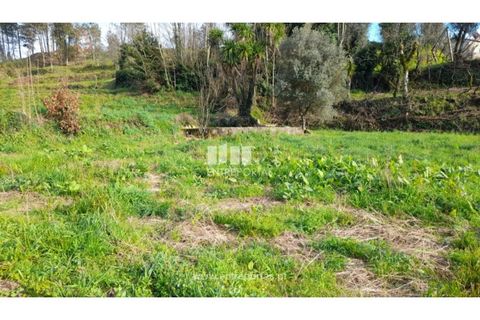 Helårsgrund i Amarante, Porto, Amarante - € 55.000 | Ref: MC09644 - foto 5