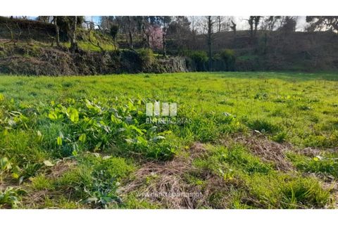 Helårsgrund i Amarante, Porto, Amarante - € 55.000 | Ref: MC09644 - foto 10