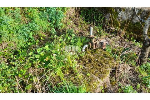 Helårsgrund i Amarante, Porto, Amarante - € 55.000 | Ref: MC09644 - foto 12
