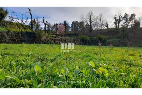Helårsgrund i Amarante, Porto, Amarante - € 55.000 | Ref: MC09644 - foto 16