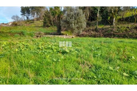 Helårsgrund i Amarante, Porto, Amarante - € 55.000 | Ref: MC09644 - foto 18