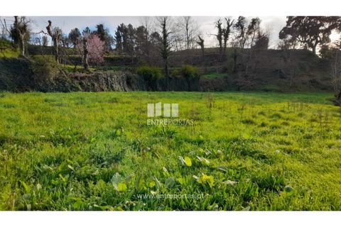 Helårsgrund i Amarante, Porto, Amarante - € 55.000 | Ref: MC09644 - foto 19