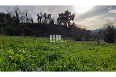 Helårsgrund i Amarante, Porto, Amarante - € 55.000 | Ref: MC09644 - foto 21