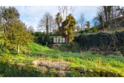 Helårsgrund i Amarante, Porto, Amarante - € 55.000 | Ref: MC09644 - foto 26