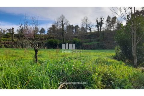 Helårsgrund i Amarante, Porto, Amarante - € 55.000 | Ref: MC09644 - foto 28