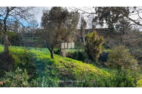 Helårsgrund i Amarante, Porto, Amarante - € 55.000 | Ref: MC09644 - foto 29