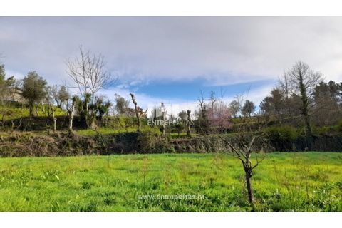 Helårsgrund i Amarante, Porto, Amarante - € 55.000 | Ref: MC09644 - foto 30