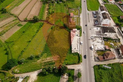 Helårsgrund i Gandra e Taiao, Viana do Castelo, Gandra e Taiao - € 135.000 | Ref: TER_169 - foto 3
