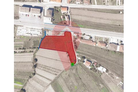 Helårsgrund i Gandra e Taiao, Viana do Castelo, Gandra e Taiao - € 135.000 | Ref: TER_169 - foto 5