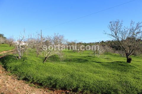 Helårsgrund i Lagoa, Faro, Lagoa - € 200.000 | Ref: Sort21284 - foto 2