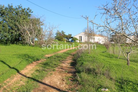 Helårsgrund i Lagoa, Faro, Lagoa - € 200.000 | Ref: Sort21284 - foto 4